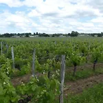 Maison Familiale Climatisee, Piscine St Emilion Feriehus