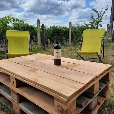 Vakantiehuis Maison Familiale Climatisee, Piscine St Emilion