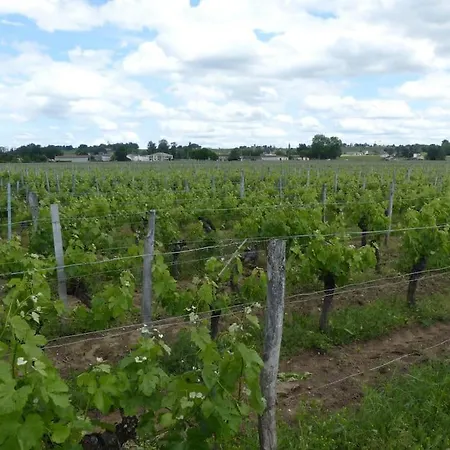 Maison Familiale Climatisee, Piscine St Emilion Vakantiehuis